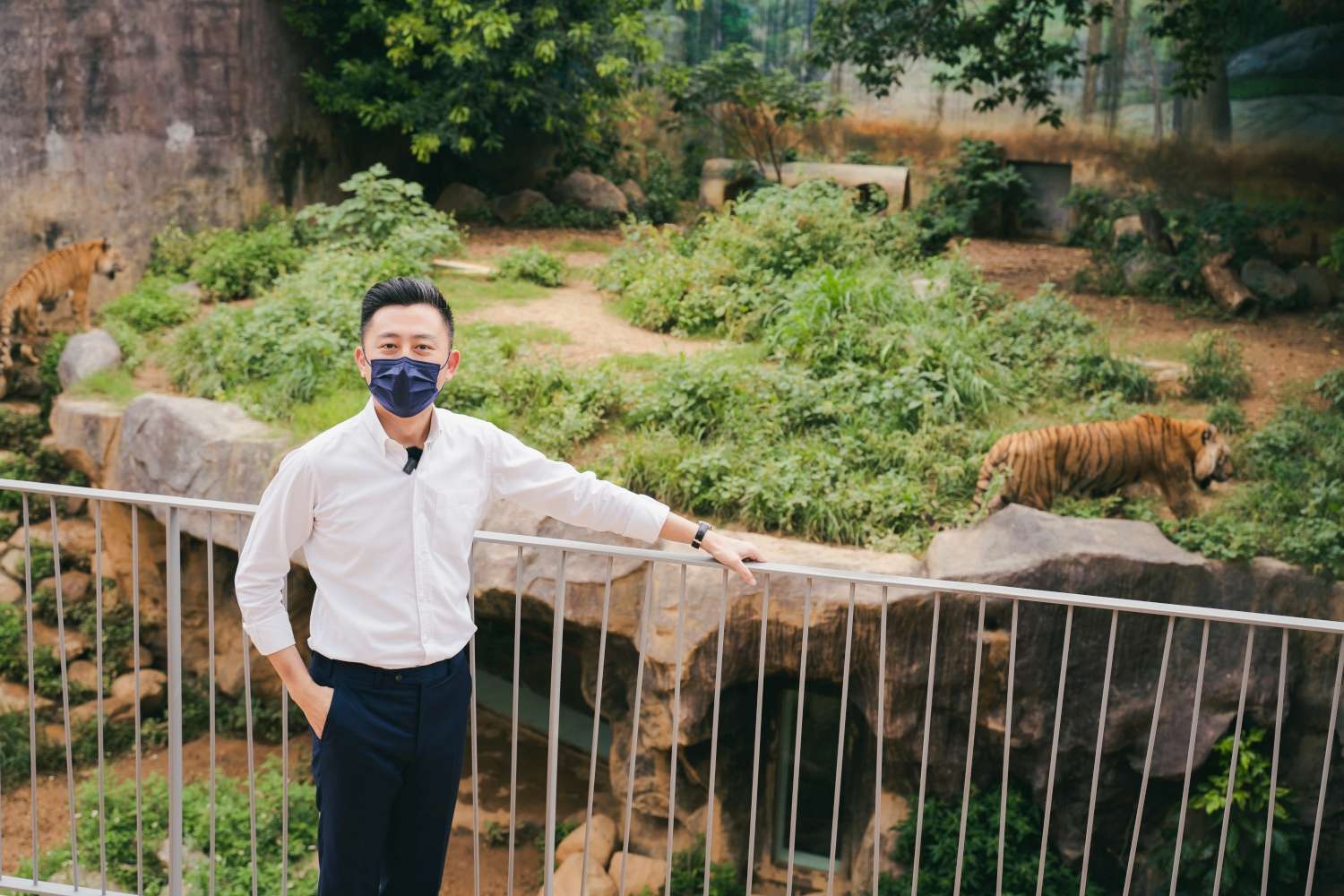 今（27日）正中午12時新竹市長林智堅臉書將直播「線上逛動物園」，以第一視角帶大家逛園。|